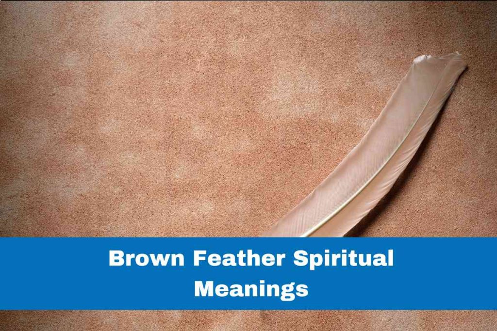 Spiritual Meaning Spiritual Succor